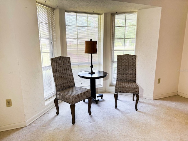 sitting room with light carpet, a textured wall, and a wealth of natural light