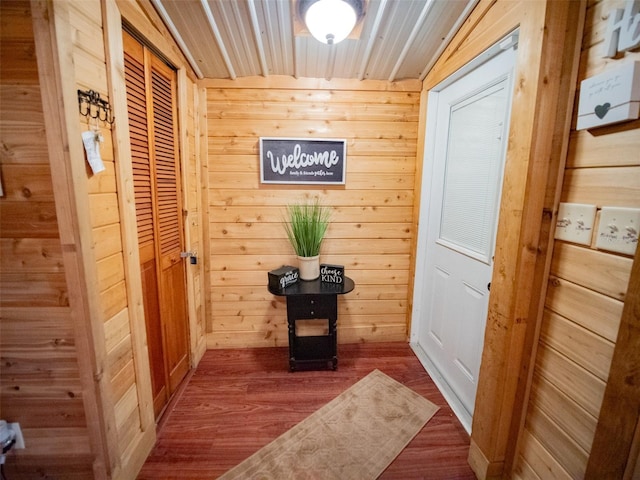 doorway to outside featuring wooden walls and dark hardwood / wood-style flooring