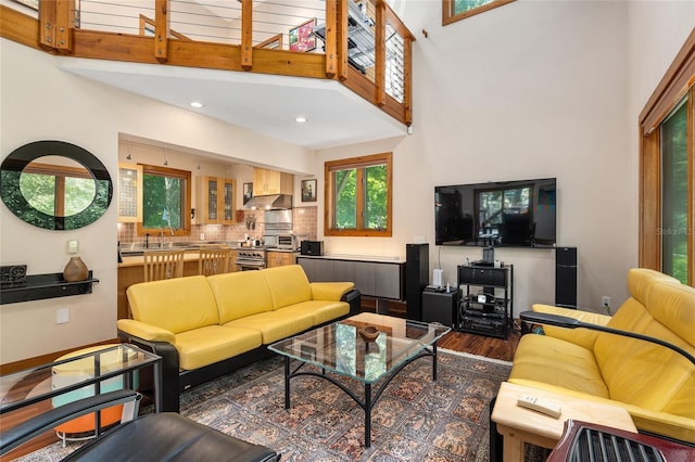 living room with sink, a high ceiling, and dark hardwood / wood-style flooring