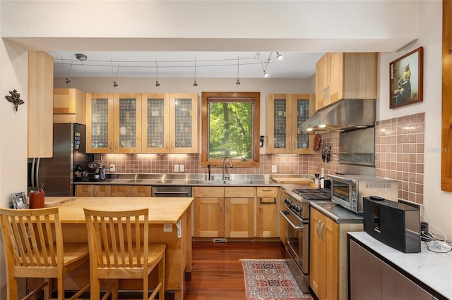 kitchen with tasteful backsplash, sink, stainless steel counters, ventilation hood, and stainless steel appliances