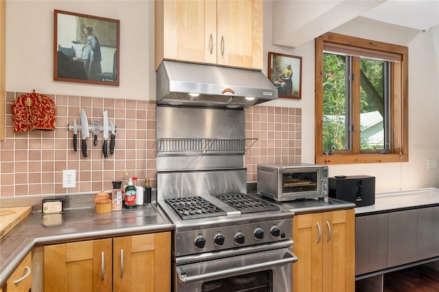 kitchen featuring exhaust hood, backsplash, and stainless steel stove