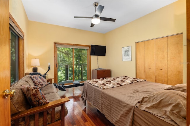 bedroom with ceiling fan, dark hardwood / wood-style flooring, and a closet