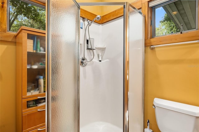 bathroom featuring toilet and a shower with door