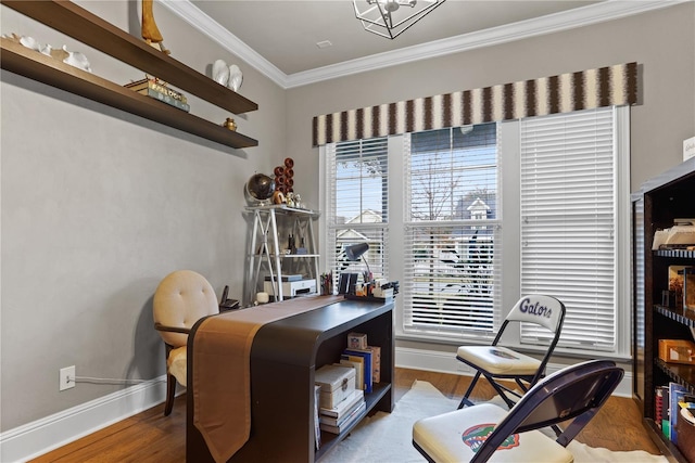 office area featuring hardwood / wood-style flooring and crown molding