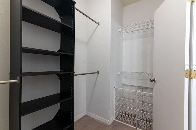 view of walk in closet