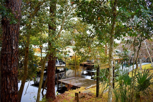 dock area with a water view