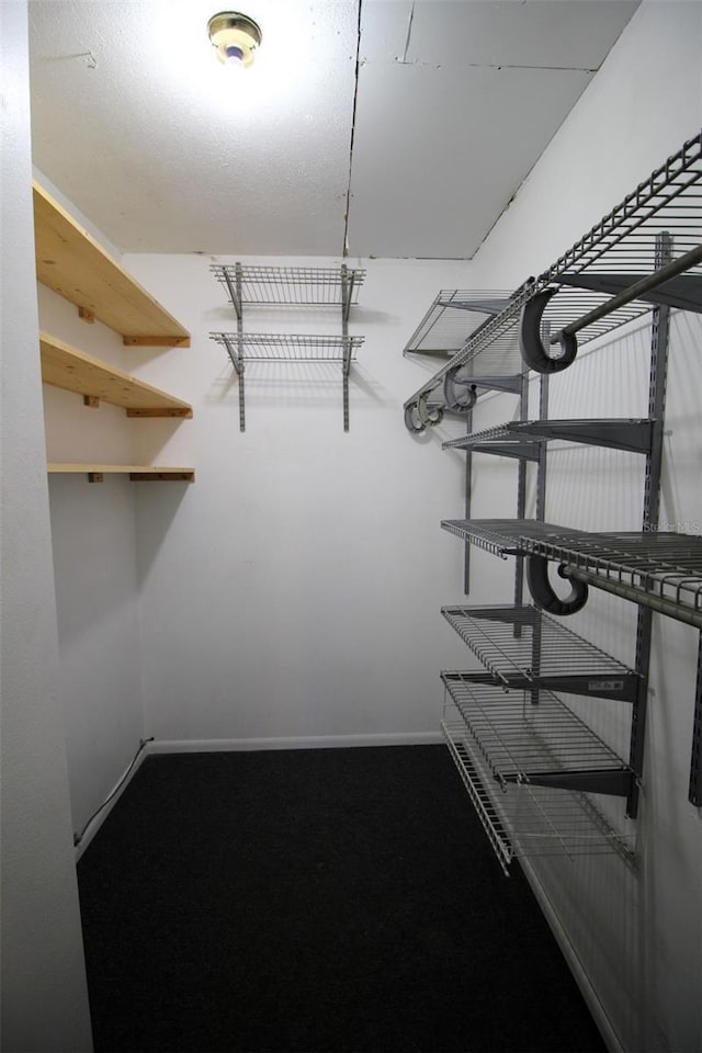 spacious closet with carpet floors