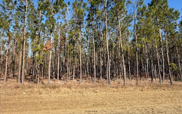 NW County Road 251, Mayo FL, 32066 land for sale