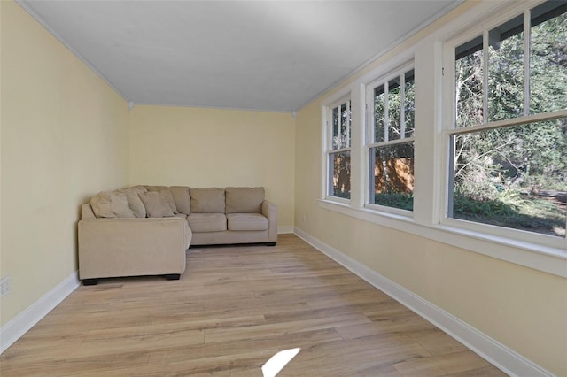 living room with ornamental molding and light hardwood / wood-style flooring