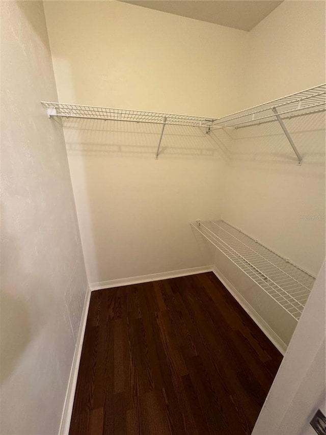 walk in closet featuring wood finished floors