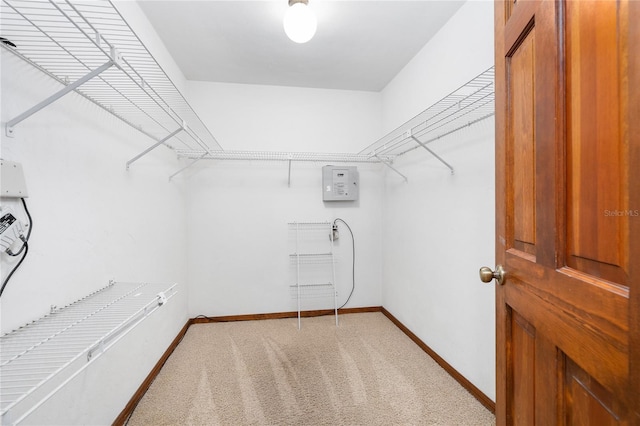 spacious closet featuring light carpet