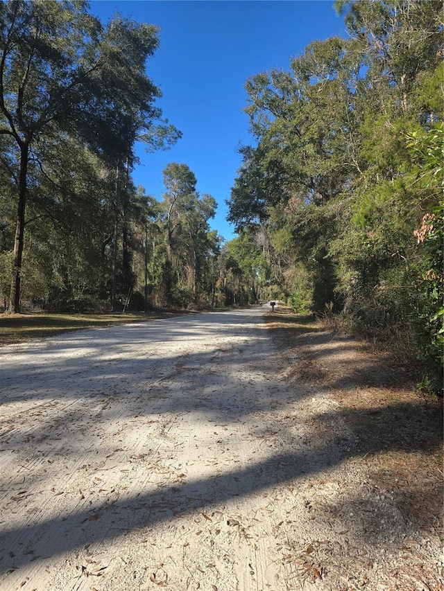 Listing photo 3 for TBD Sw Alabama Glen, Fort White FL 32038