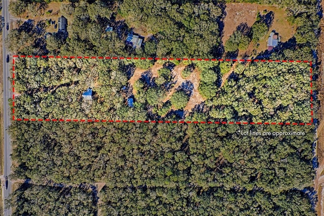 300 S US Highway 129, Bell, FL 32619 - map