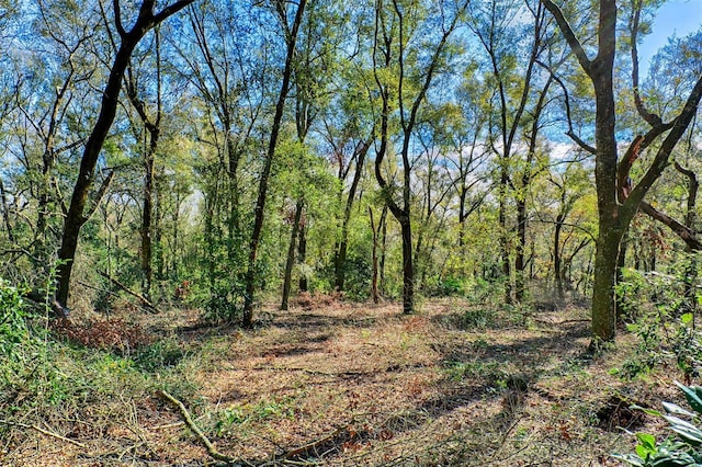 300 S US Highway 129, Bell, FL 32619 - view of landscape