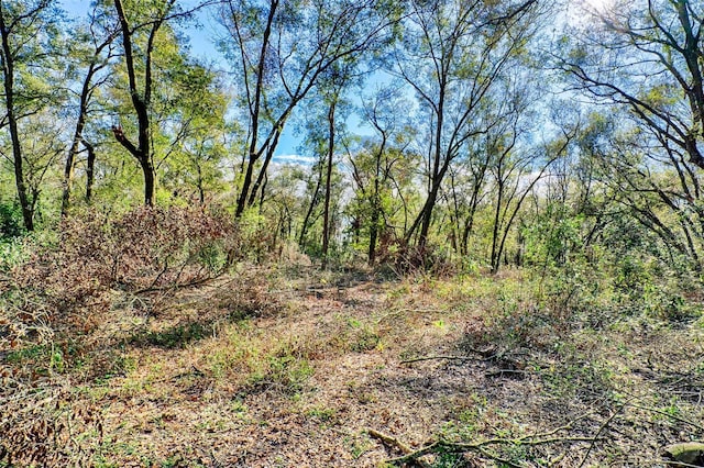 300 S US Highway 129, Bell, FL 32619 - view of local wilderness
