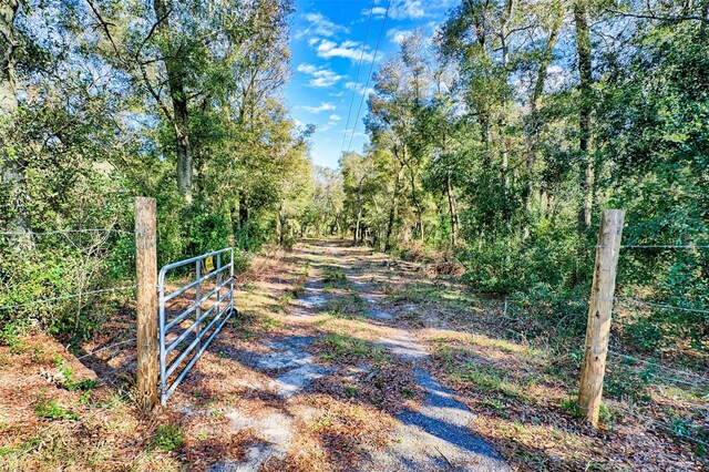300 S US Highway 129, Bell, FL 32619 - view of yard