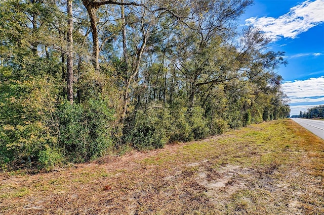 300 S US Highway 129, Bell, FL 32619 - view of street