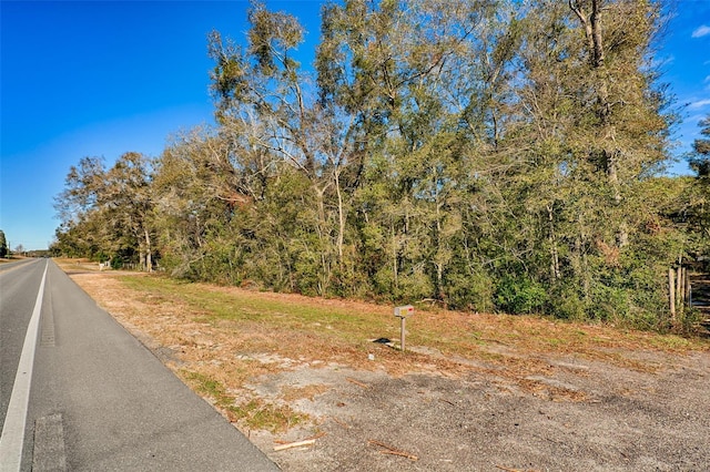 300 S US Highway 129, Bell, FL 32619 - view of road