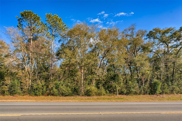 300 S US Highway 129, Bell, FL 32619 - view of road