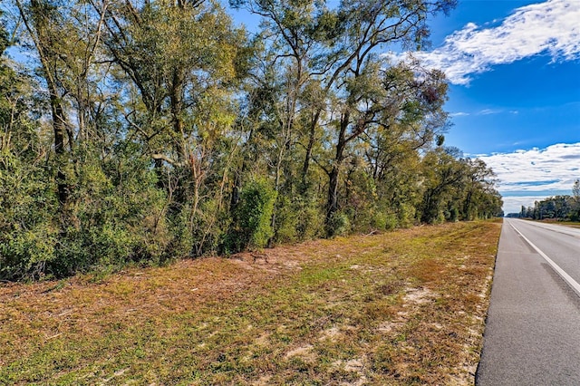 300 S US Highway 129, Bell, FL 32619 - view of street