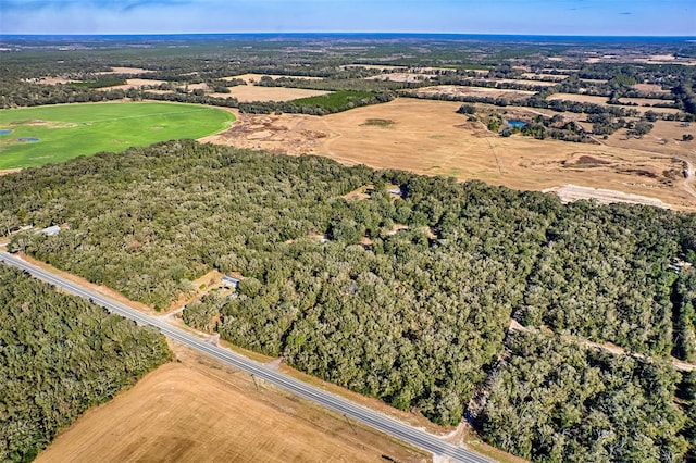 300 S US Highway 129, Bell, FL 32619 - bird's eye view