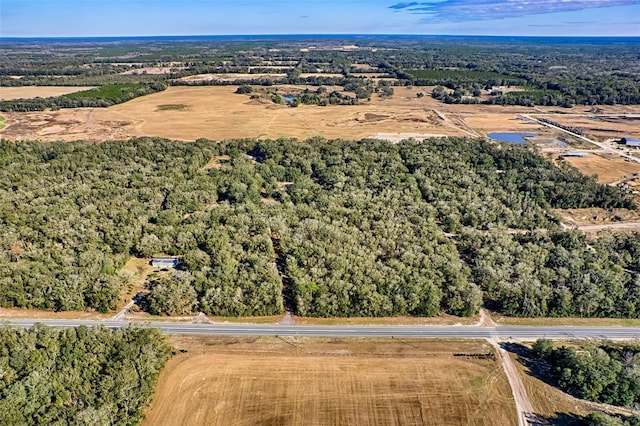 300 S US Highway 129, Bell, FL 32619 - birds eye view of property