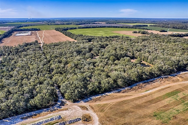 300 S US Highway 129, Bell, FL 32619 - drone / aerial view with a rural view