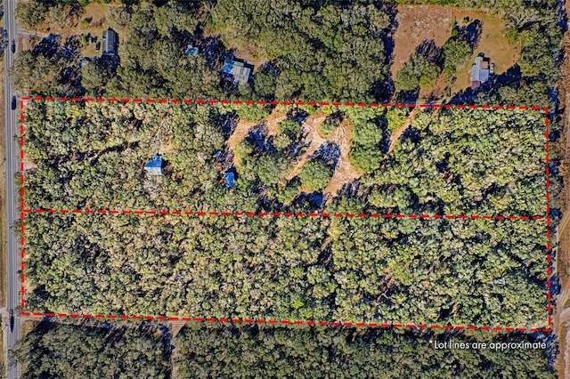 300 S US Highway 129, Bell, FL 32619 - map location