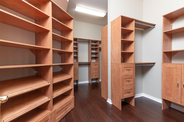 walk in closet with dark wood-type flooring