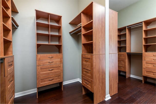 spacious closet with dark hardwood / wood-style flooring