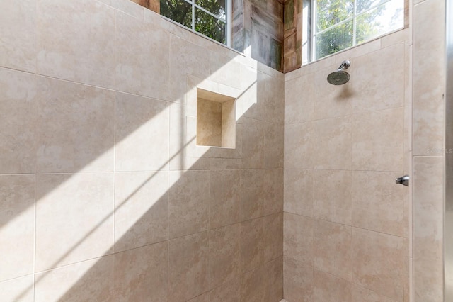 interior details featuring a tile shower