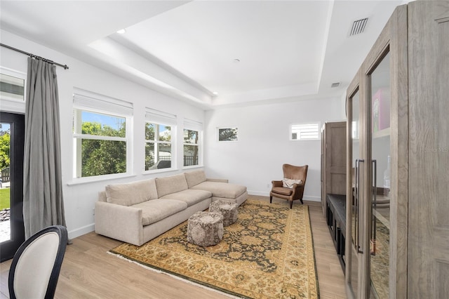 living room with light hardwood / wood-style floors and a raised ceiling