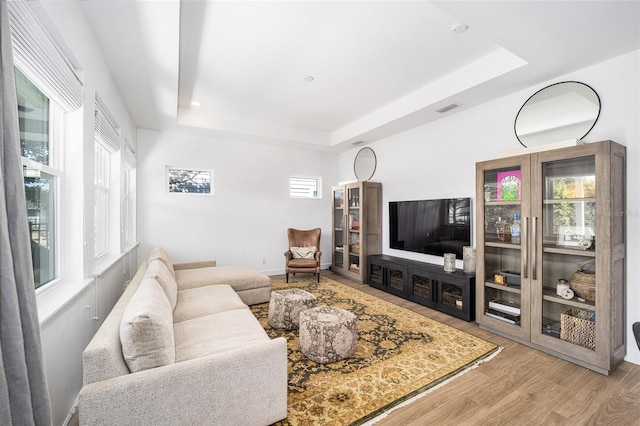 living room featuring plenty of natural light, light wood-type flooring, and a tray ceiling