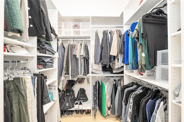 spacious closet with carpet floors