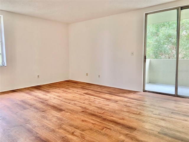 empty room featuring light wood-type flooring