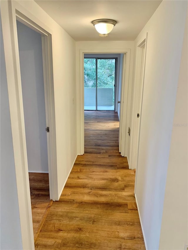 hall with wood-type flooring