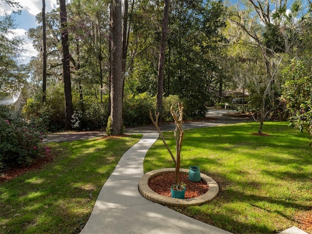 view of community featuring a lawn