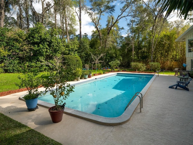 pool with a yard and a patio area