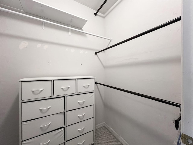 view of walk in closet