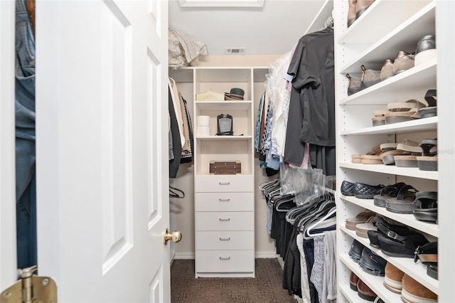 view of spacious closet