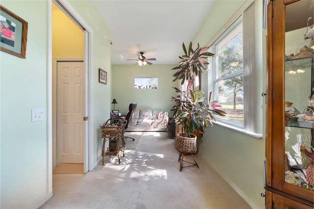 hallway featuring light carpet