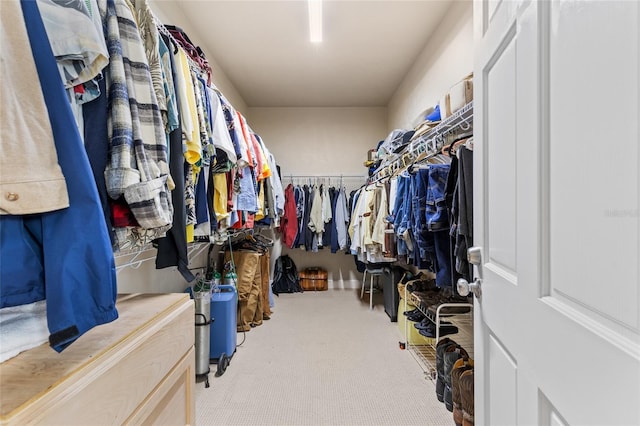 spacious closet featuring light colored carpet