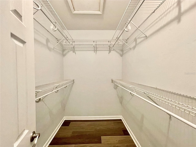 2820 NW 39th Ter, Gainesville, FL 32606 - spacious closet featuring wood finished floors