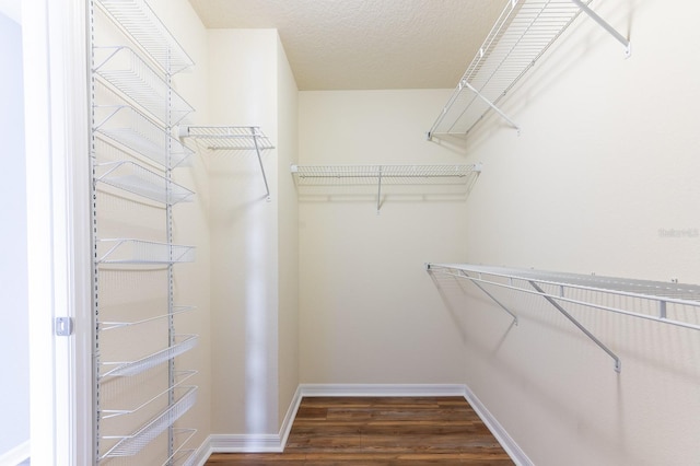 walk in closet featuring dark hardwood / wood-style flooring