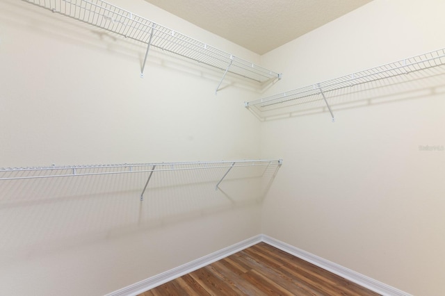 24448 SW 8th Pl, Newberry, FL 32669 - walk in closet featuring dark wood-style floors