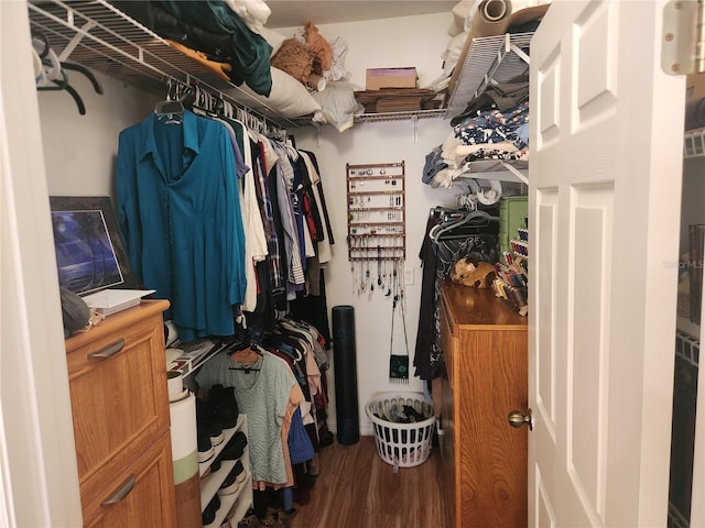 walk in closet featuring hardwood / wood-style flooring