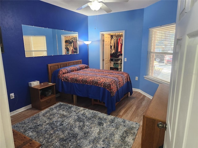 bedroom with hardwood / wood-style flooring, a walk in closet, a closet, and ceiling fan