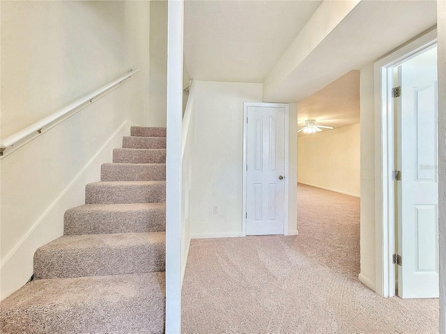 stairway with carpet floors