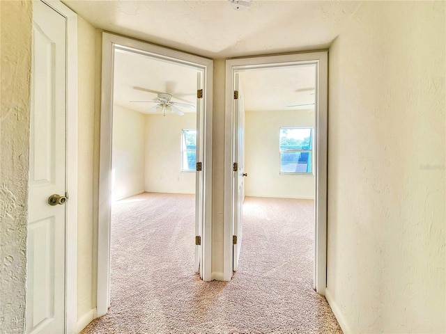 hallway with carpet floors