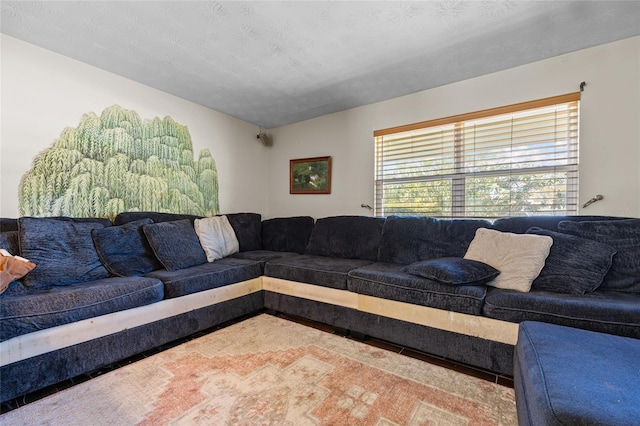 living room featuring lofted ceiling and a textured ceiling